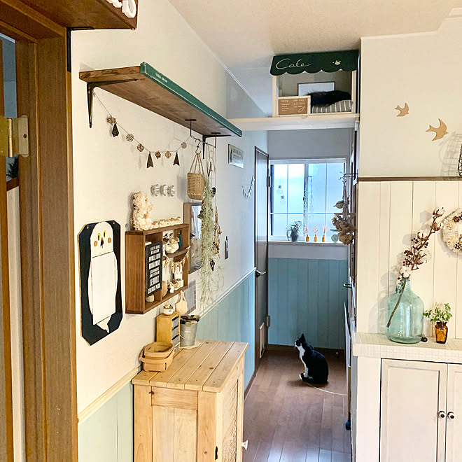 腰壁diy キャットハウスdiy 猫スペース ナチュラルインテリア キャットウォークdiy などのインテリア実例 05 03 15 55 21 Roomclip ルームクリップ