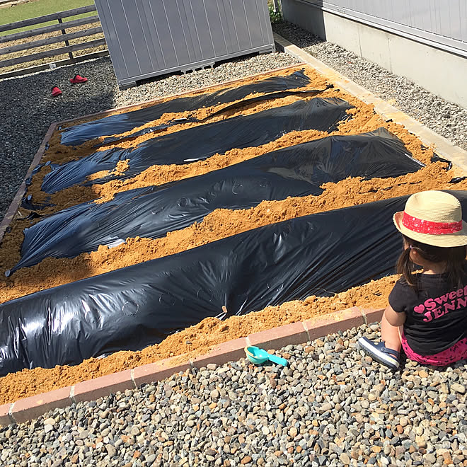 玄関 入り口 マルチシート 畑 レンガ 家庭菜園 などのインテリア実例 18 04 21 22 53 13 Roomclip ルームクリップ