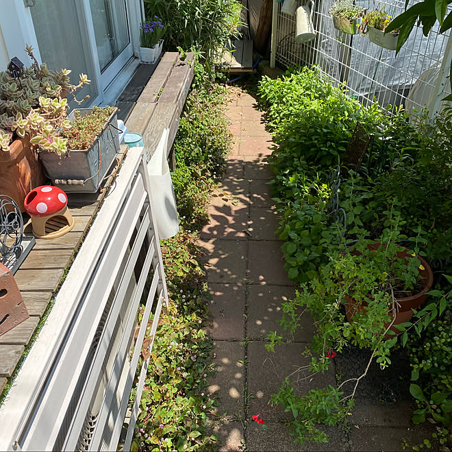 縁側ウッドデッキ 狭い庭 花のある暮らし 庭 ガーデン雑貨 などのインテリア実例 05 29 13 01 00 Roomclip ルームクリップ