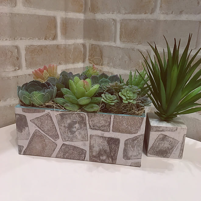 フェイク多肉 多肉植物寄せ植え 多肉植物 リメイクシート いつもありがとうございます 感謝 などのインテリア実例 21 10 10 07 51 Roomclip ルームクリップ