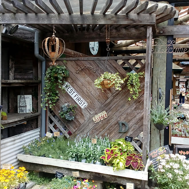 お出かけ先 ロベリア フラワースタンド ガーデニング トレリス などのインテリア実例 17 09 09 13 45 26 Roomclip ルームクリップ