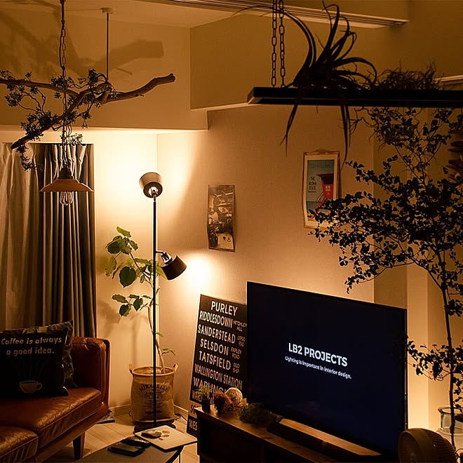 流木照明 間接照明 フロアライト インテリア Yasui Seiki Hin フロアスタンド Hashmisurma Com