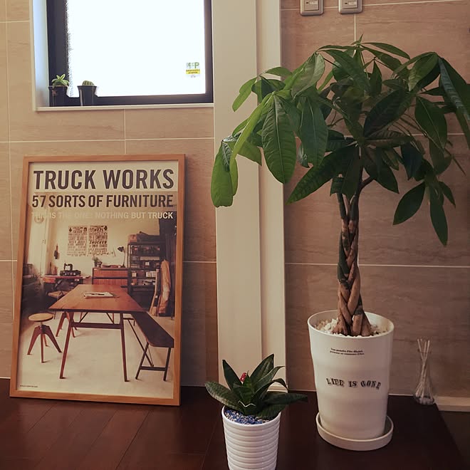 玄関 入り口 Truckポスター 今休憩 はよ仕事終わらんかな パキラ成長期に成長しすぎ O アホ毛は関西弁って聞いてビックリ などのインテリア実例 15 05 14 29 31 Roomclip ルームクリップ