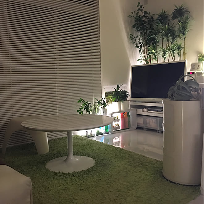 無機質/観葉植物/ホワイトインテリア/部屋全体/フェイクグリーン&hellip;などのインテリア実例 20180717 002410