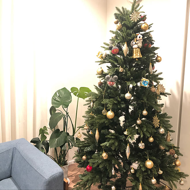 フランフラン クリスマスツリー クリスマス 緑のある生活 観葉植物 などのインテリア実例 11 06 23 29 27 Roomclip ルームクリップ