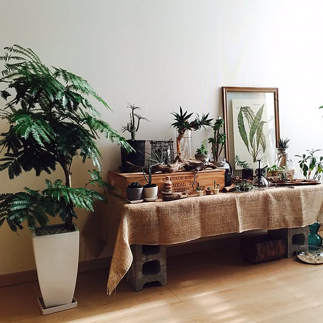 棚 エバーフレッシュ ワイン木箱 水耕栽培 ボタニカル などのインテリア実例 15 10 16 22 03 29 Roomclip ルームクリップ