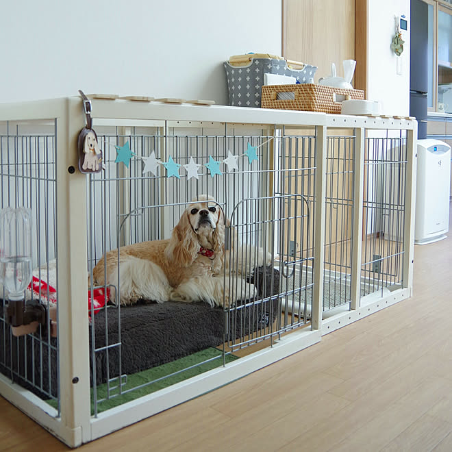 ベッド周り ケージ モノ集め 犬と暮らす アメリカンコッカースパニエル などのインテリア実例 18 01 15 05 Roomclip ルームクリップ ベッド周り ケージ モノ集め 犬と暮らす アメリカンコッカースパニエル などのインテリア実例 18 01 15 05 Roomclip ルームクリップ