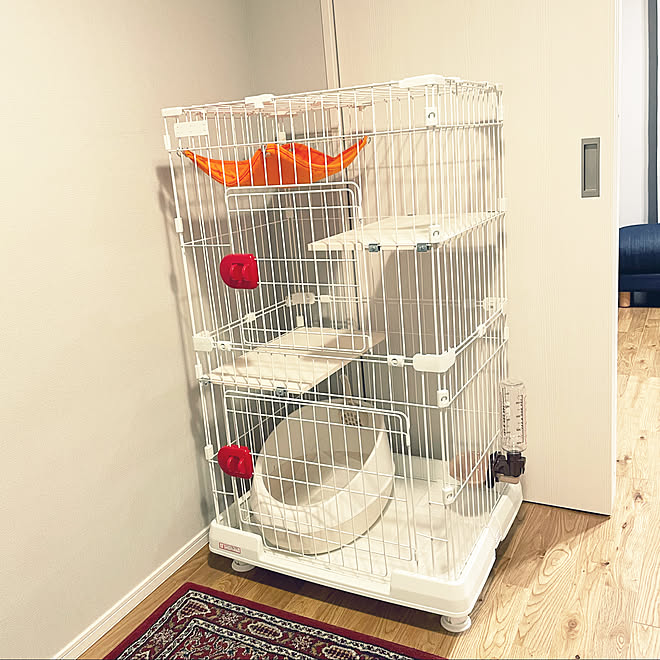 猫トイレ ゲージ 水入れ ねこ部屋 ねこ部 などのインテリア実例 21 04 04 00 35 50 Roomclip ルームクリップ 猫トイレ ゲージ 水入れ ねこ部屋 ねこ部 などのインテリア実例 21 04 04 00 35 50 Roomclip ルームクリップ