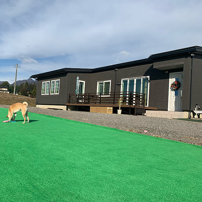 ドッグラン 人工芝diy 人工芝 犬のいる生活 玄関 入り口のインテリア実例 19 12 18 18 40 50 Roomclip ルームクリップ ドッグラン 人工芝diy 人工芝 犬のいる生活 玄関 入り口のインテリア実例 19 12 18 18 40 50 Roomclip ルームクリップ