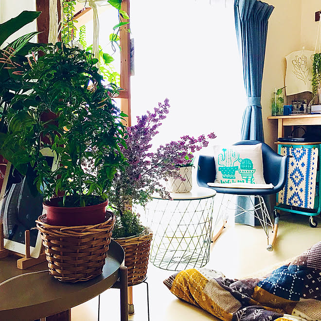 昼間の風景 日当たりの良い部屋 家が落ち着く場所 癒し グリーンのある暮らし などのインテリア実例 22 03 02 14 33 25 Roomclip ルームクリップ