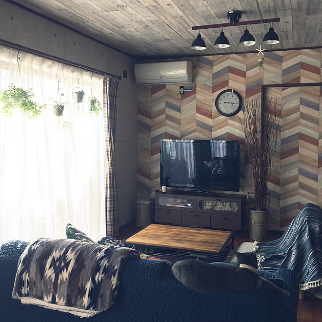 部屋全体 猫 サンゲツ壁紙 壁紙 木目壁紙 などのインテリア実例 17 09 13 06 37 31 Roomclip ルームクリップ