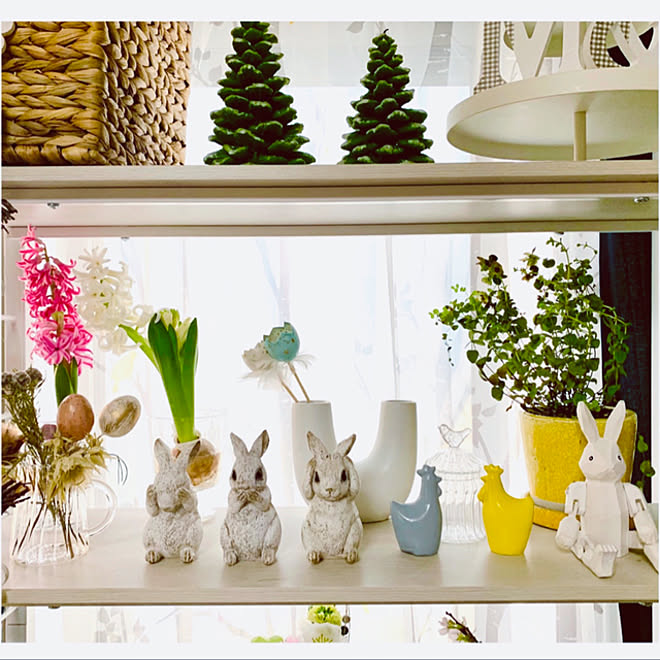 B Companyで買ったうさぎさん ナチュラルキッチンの雑貨 にゃんにゃんにゃんこの日 Fwf 令和3年2月22日 癒しセット などのインテリア実例 21 02 22 13 08 29 Roomclip ルームクリップ