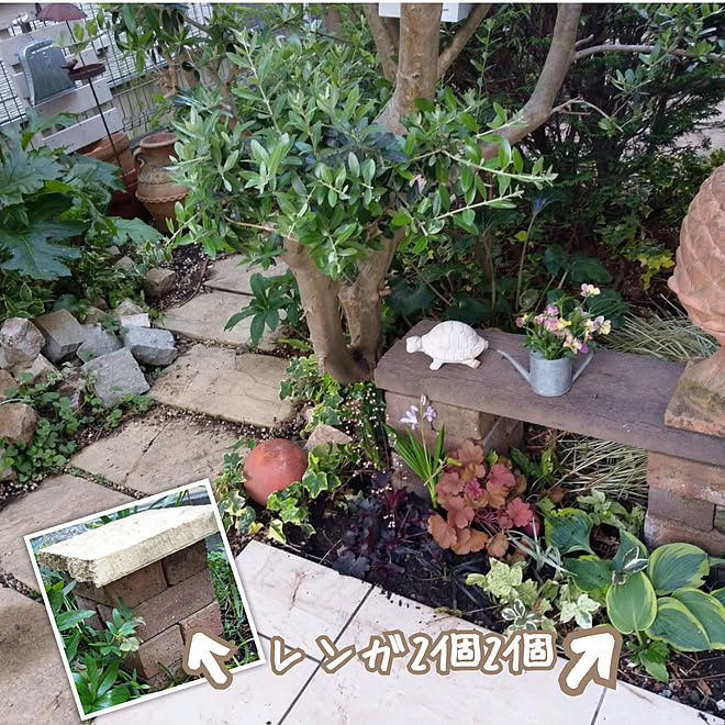 玄関 入り口 庭diy レンガ カラーリーフ好き 宿根草の庭 などのインテリア実例 05 13 46 Roomclip ルームクリップ