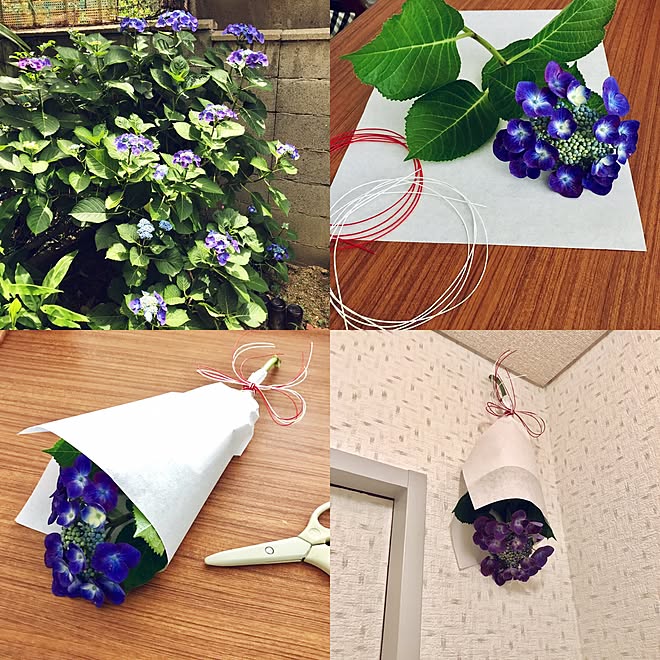 半紙 水引 紫陽花 バス トイレ おまじない などのインテリア実例 17 06 06 12 36 01 Roomclip ルームクリップ 半紙 水引 紫陽花 バス トイレ おまじない などのインテリア実例 17 06 06 12 36 01 Roomclip ルームクリップ