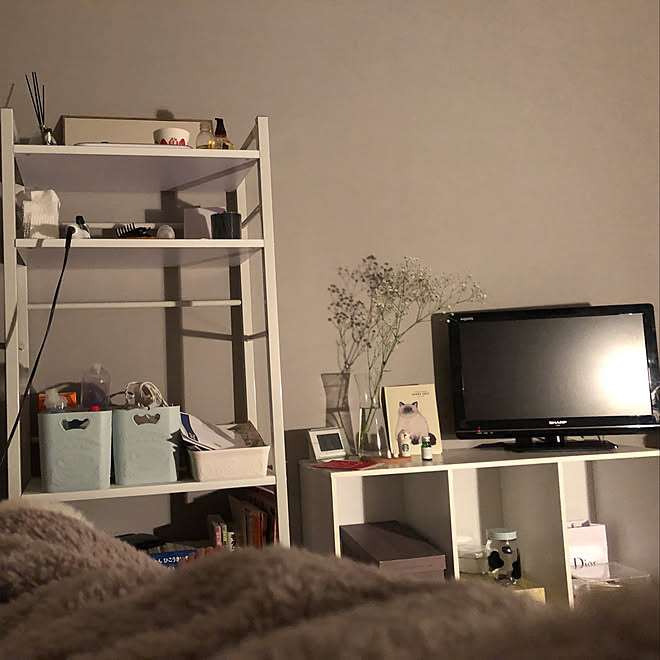棚 狭い部屋 韓国インテリア グレー グリーンのある暮らし などのインテリア実例 19 02 02 01 16 42 Roomclip ルームクリップ 棚 狭い部屋 韓国インテリア グレー グリーンのある暮らし などのインテリア実例 19 02 02 01 16 42 Roomclip ルームクリップ