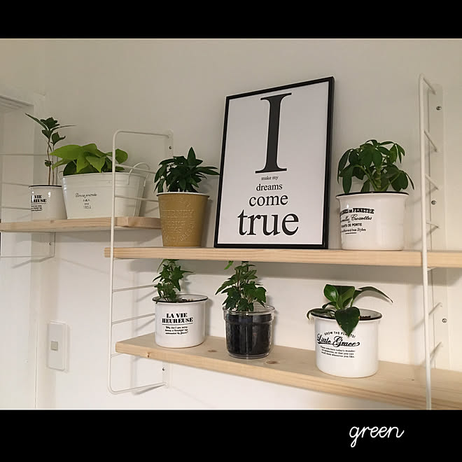 壁シェルフ 100均 ダイソー 癒し 観葉植物 などのインテリア実例 21 04 11 22 39 29 Roomclip ルームクリップ 壁シェルフ 100均 ダイソー 癒し 観葉植物 などのインテリア実例 21 04 11 22 39 29 Roomclip ルームクリップ