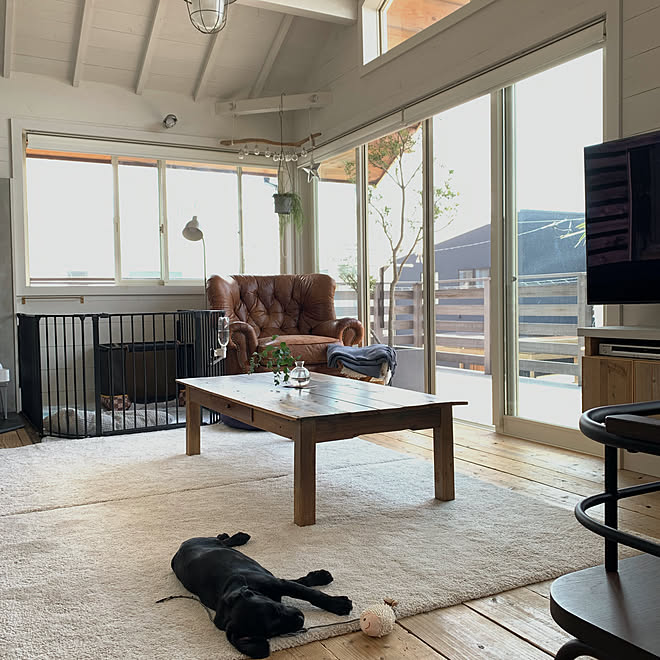 アイアン インダストリアルインテリア 海外インテリアに憧れて 海外インテリアに憧れる 植物のある暮らし などのインテリア実例 05 27 15 55 47 Roomclip ルームクリップ