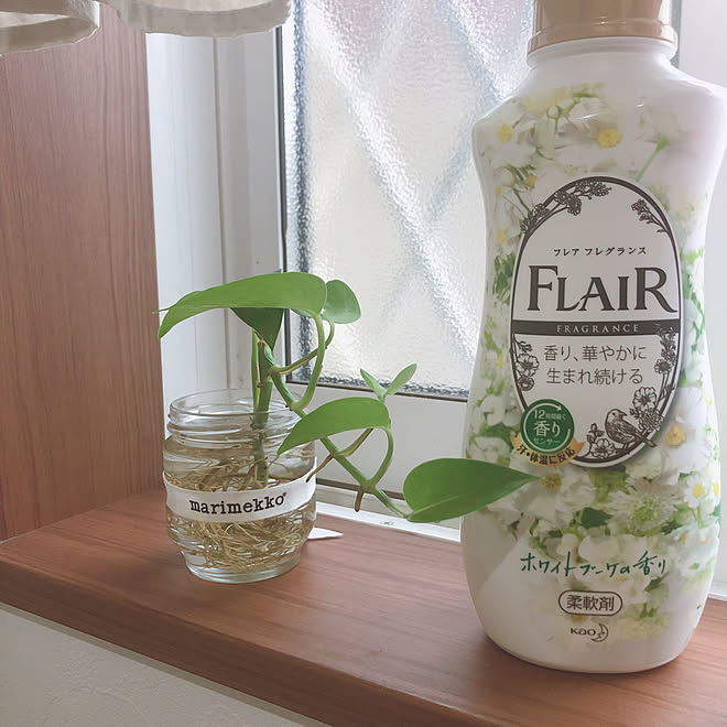 柔軟剤 ポトス 洗濯 フレアフレグランス 花王 などのインテリア実例 21 09 19 08 55 32 Roomclip ルームクリップ