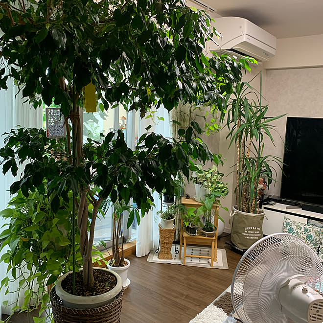 モダンインテリア カフェ風 観葉植物のある暮らし ナチュラルインテリア グリーンライフ などのインテリア実例 21 08 08 13 16 50 Roomclip ルームクリップ