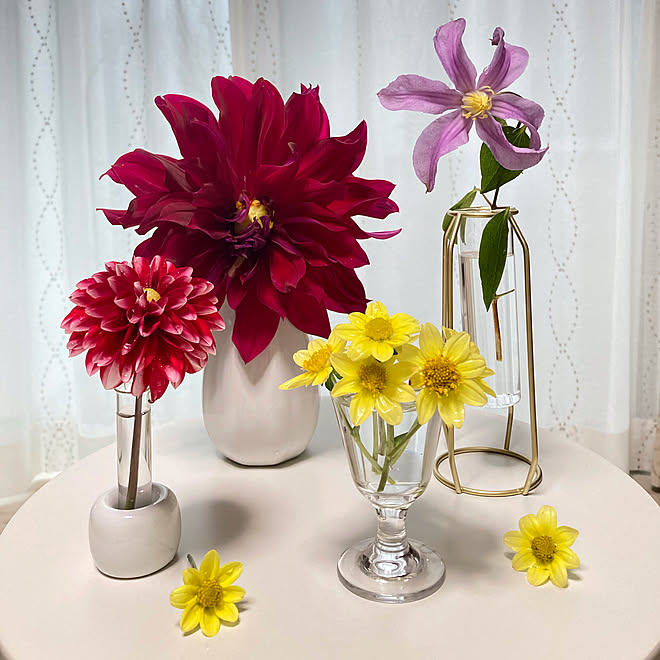 クレマチス ダリアの切り花 ダリア 庭のお花 くつろぎ空間 などのインテリア実例 22 10 06 14 27 04 Roomclip ルームクリップ