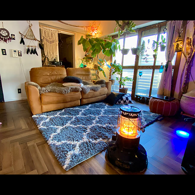スマートライト アレクサのある生活 間接照明 流木 Philips Hue などのインテリア実例 22 03 05 21 13 40 Roomclip ルームクリップ