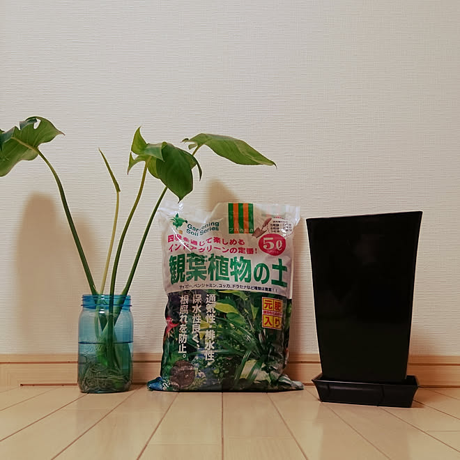 バス トイレ カインズホーム Rcの出会いに感謝 いいね フォローありがとうございます モンステラ などのインテリア実例 18 06 06 14 26 07 Roomclip ルームクリップ