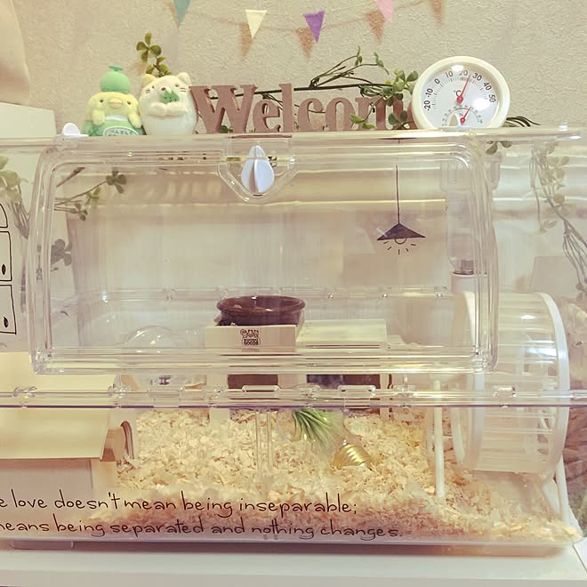 部屋全体/ハムスター飼ってます ̈♥︎/ハムスターがいる暮らし/ハムスターケージ/観葉植物&hellip;などのインテリア実例 20170712
