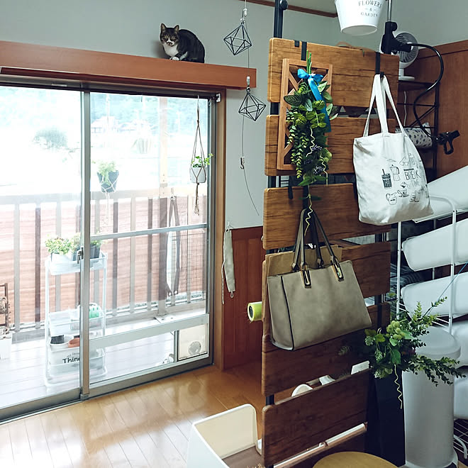 部屋全体/ペットと暮らすインテリア/一人暮らし/猫との暮らし/造花&hellip;などのインテリア実例 20210430 133356