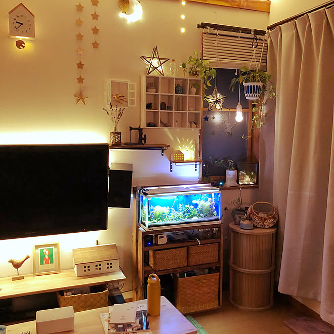 カージナルテトラ アクアリウム 夜のリビング 星のライト 熱帯魚のいる暮らし などのインテリア実例 08 16 22 52 47 Roomclip ルームクリップ
