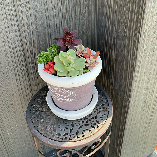 黒い家 多肉植物 狭い家 小さな家 玄関 入り口のインテリア実例 21 04 27 51 25 Roomclip ルームクリップ