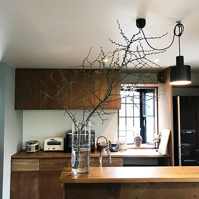 キッチン 緑のある暮らし Flame 凸ランプ 観葉植物 アメリカンヴィンテージのインテリア実例 18 04 18 08 38 10 Roomclip ルームクリップ