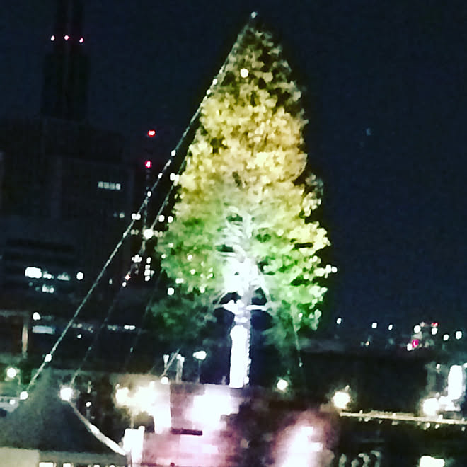 玄関/入り口/外ですみません/世界一のクリスマスツリー/勝手にフォローさせて頂いてます。。/いいね&amp;フォローありがとうございます☆のインテリア