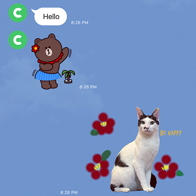 お家時間 猫のいる暮らし 猫がいる幸せ Nobiko さん 猫 などのインテリア実例 12 16 44 03 Roomclip ルームクリップ