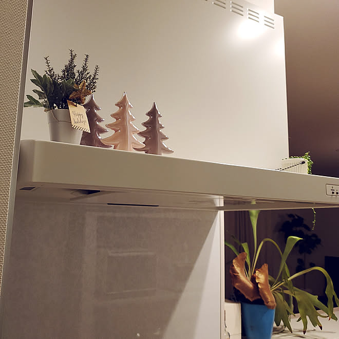 キッチン/ダイソー/クリスマス/観葉植物/ホワイトインテリア...などのインテリア実例 - 2019-11-13 21:39:26