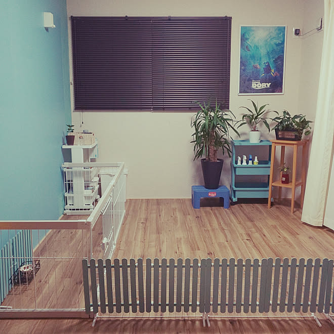 部屋全体 犬 ケージ Diy 100均アイテム リフォーム後 ニトリ ブラインド などのインテリア実例 12 16 17 19 40 Roomclip ルームクリップ