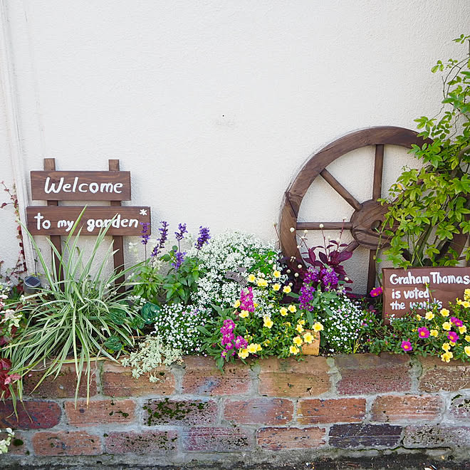 玄関 入り口 ガーデニング Diy ガーデン雑貨 花壇diy などのインテリア実例 18 10 08 21 34 15 Roomclip ルームクリップ