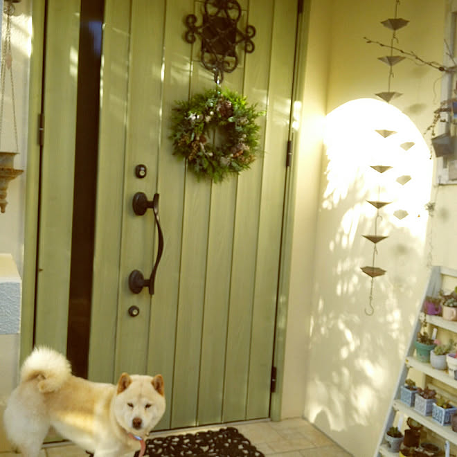クリスマス/プロヴァンス風/南欧風/多肉棚/柴犬&hellip;などのインテリア実例 20171127 164842 ｜ RoomClip