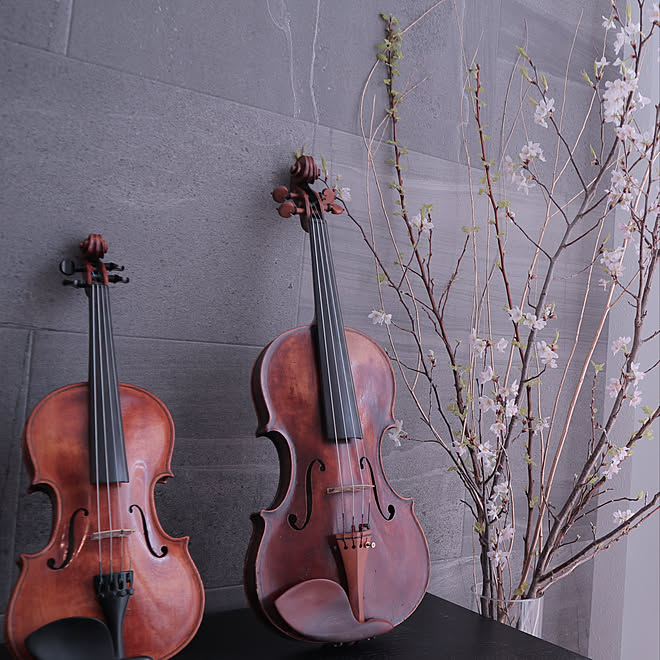 バイオリン 桜 楽器 エコカラットの壁 積水ハウス などのインテリア実例 03 01 22 53 57 Roomclip ルームクリップ バイオリン 桜 楽器 エコカラットの壁 積水ハウス などのインテリア実例 03 01 22 53 57 Roomclip ルームクリップ