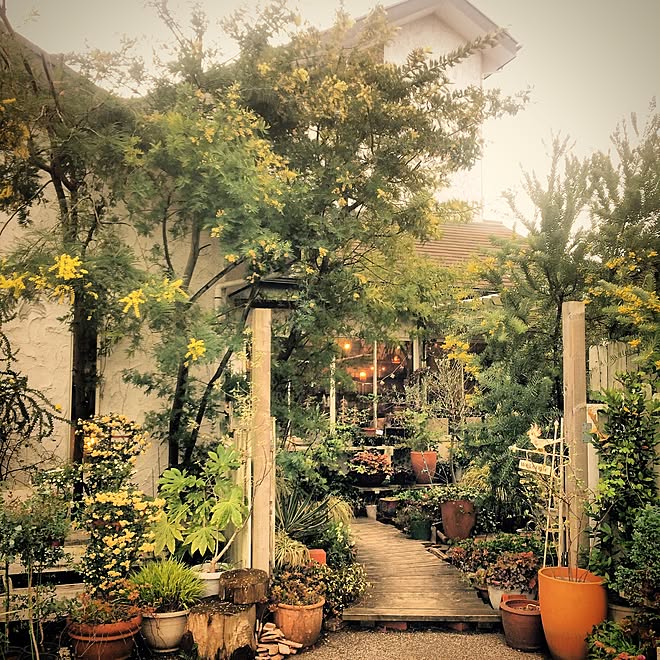 雑貨屋さん 花屋の2階 花のよこつか 花屋の2階 インテリアじゃなくてごめんなさい 群馬の会 などのインテリア実例 15 04 10 45 04 Roomclip ルームクリップ 雑貨屋さん 花屋の2階 花のよこつか 花屋の2階 インテリアじゃなくてごめんなさい 群馬の会 などのインテリア実例 15 04 10 45 04 Roomclip ルームクリップ