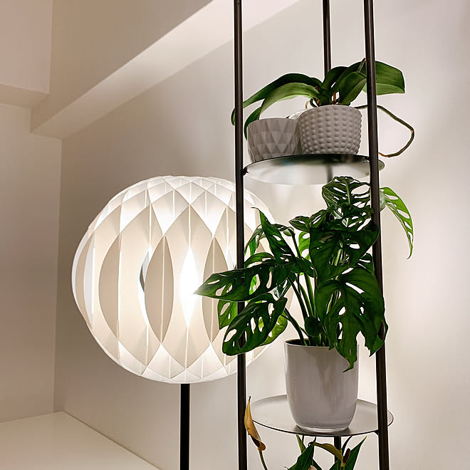 インテリアグリーン/1K/ACTUS/フロアランプ/グリーンのある暮らし...などのインテリア実例 20200726 222854