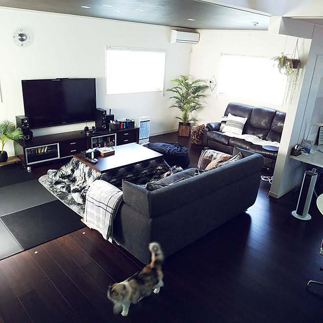 リビング こたつ ダークブラウンの床 ねこと暮らす ソファ などのインテリア実例 10 16 10 41 31 Roomclip ルームクリップ