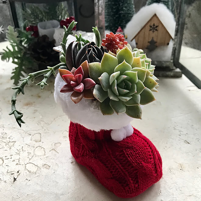 100均クリスマス雑貨 アンティーク家具 クリスマス マンション暮らし 多肉植物寄せ植え などのインテリア実例 19 12 09 21 11 08 Roomclip ルームクリップ