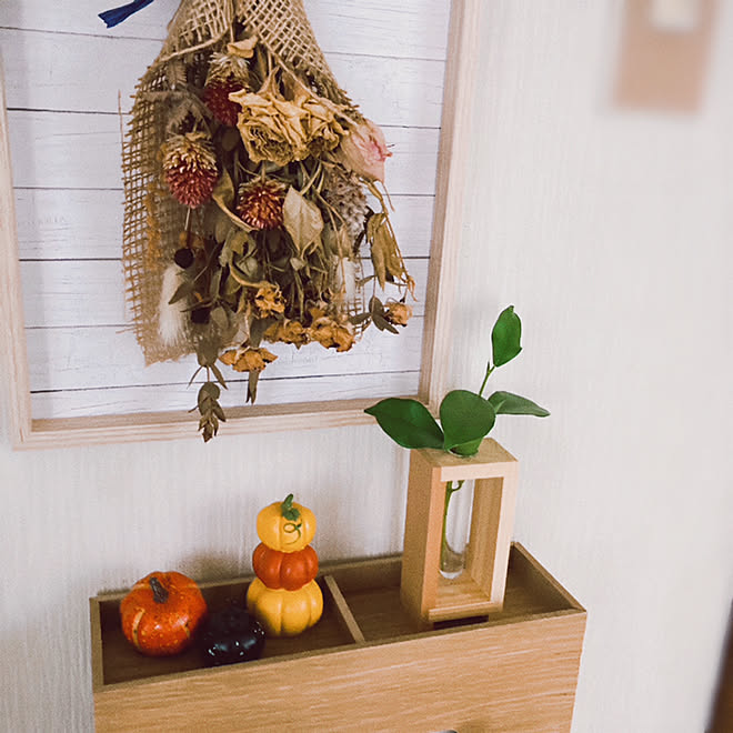 クリップ付きフォトフレーム ボックスティッシュカバー ダイソー 季節はずれのガジュマル水挿し 一輪挿し などのインテリア実例 21 10 01 13 03 30 Roomclip ルームクリップ