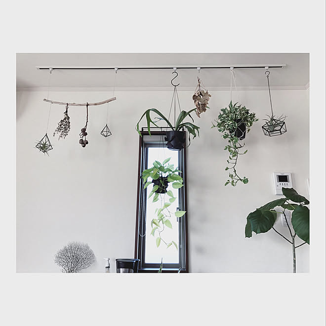 広げる 観察する 剪断 ハンギング レール 天井 Clearkayak Jp