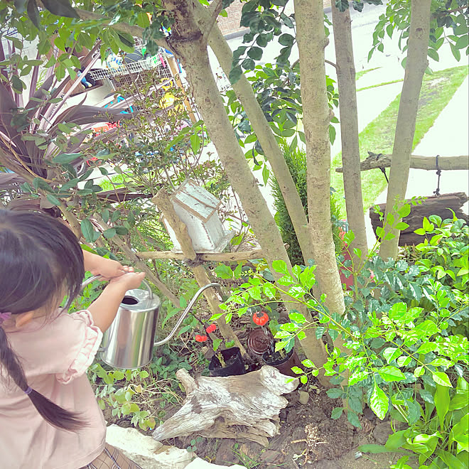 暮らしの一コマ ハロウィン仕様 秋の庭 水やり Halloween などのインテリア実例 21 10 01 22 27 45 Roomclip ルームクリップ