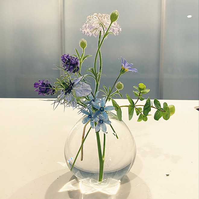 ブルーデイジー ブルースター ニゲラ みずのうつわ ブルーレースフラワー などのインテリア実例 22 05 31 03 50 Roomclip ルームクリップ ブルーデイジー ブルースター ニゲラ みずのうつわ ブルーレースフラワー などのインテリア実例 22 05 31 03 50 Roomclip ルームクリップ