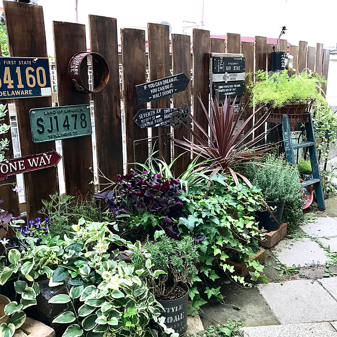 ちいさな庭 ジャンクガーデン アイビー ガーデンピックdiy ナンバープレート などのインテリア実例 19 07 17 12 57 00 Roomclip ルームクリップ ちいさな庭 ジャンクガーデン アイビー ガーデンピックdiy ナンバープレート などのインテリア実例 19 07 17 12 57 00 Roomclip ルームクリップ