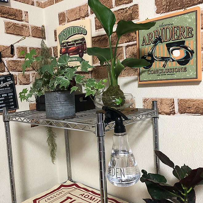 ニトリ セリア キャンドゥ フェイクグリーン 観葉植物 などのインテリア実例 19 11 12 21 31 30 Roomclip ルームクリップ ニトリ セリア キャンドゥ フェイクグリーン 観葉植物 などのインテリア実例 19 11 12 21 31 30 Roomclip ルームクリップ