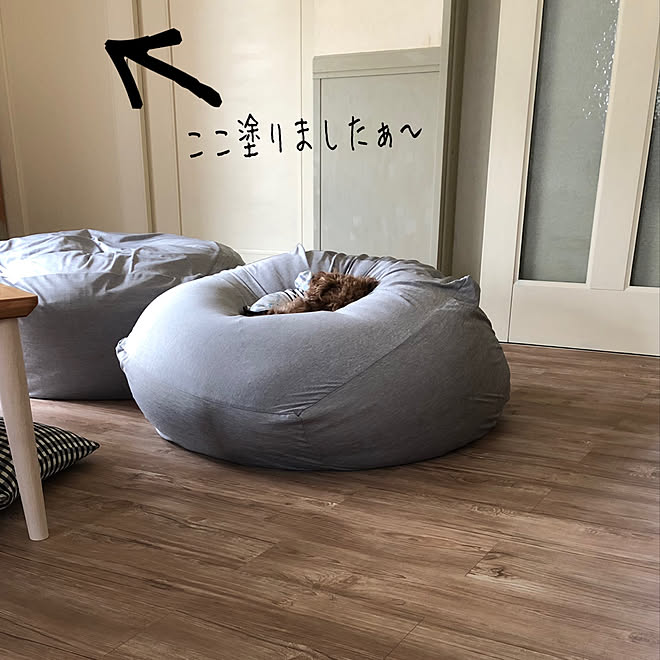 いぬのいる暮らし/デコウッド/ニトリビーズクッション/ニトリ/引き戸リメイク&hellip;などのインテリア実例 20190603 2102