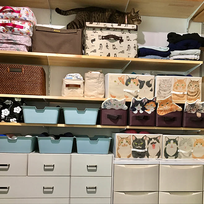クローゼット 収納 フェリシモ 猫部 収納見直し 洗面所 収納 バス トイレ などのインテリア実例 03 22 17 27 18 Roomclip ルームクリップ